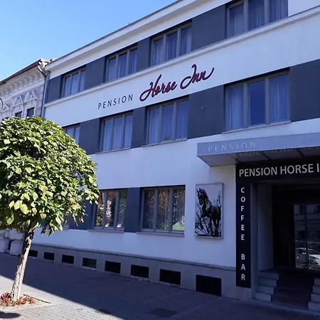 Penzion Horse 3*