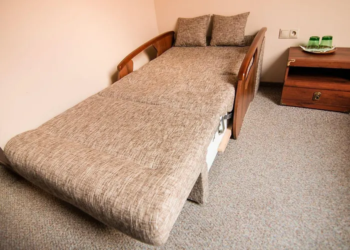 Horse 3* קושיצה