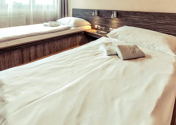 Horse בית הארחה קושיצה