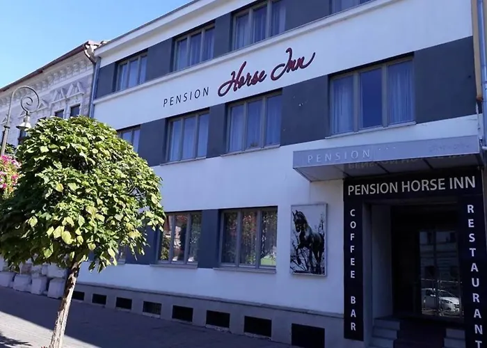 בית הארחה Horse 3*